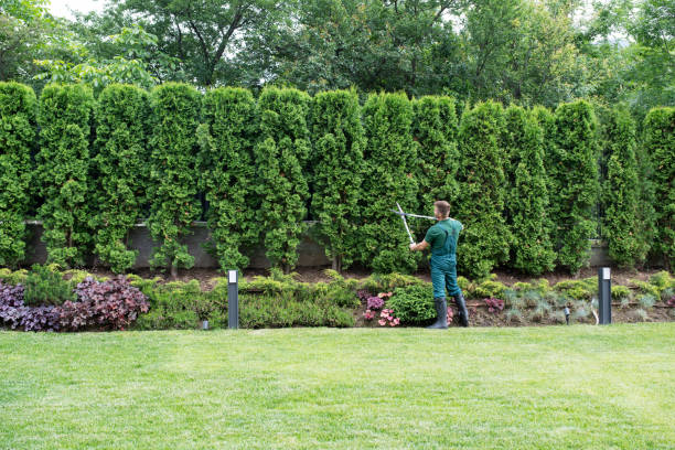 Lawn Watering Services in Refugio, TX